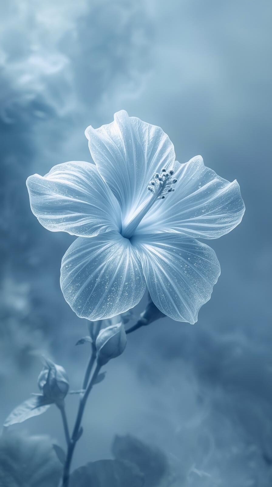 Ice Blue Hibiscus